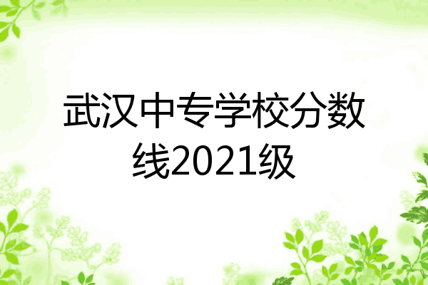 武汉中专学校分数线2021级