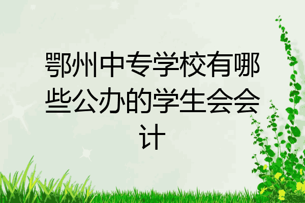鄂州中专学校有哪些公办的学生会会计