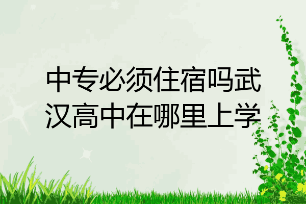 中专必须住宿吗武汉高中在哪里上学