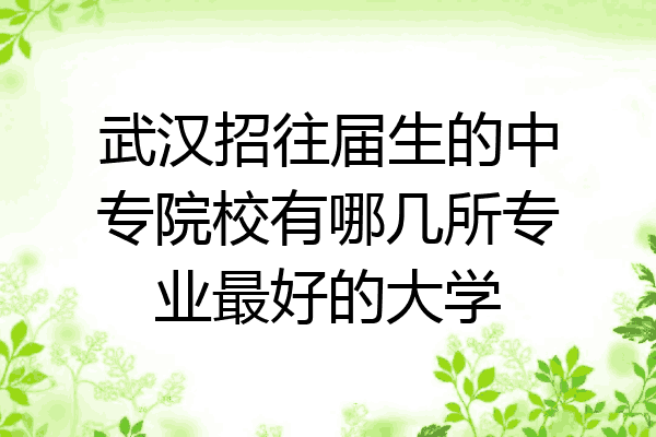 武汉招往届生的中专院校有哪几所专业最好的大学