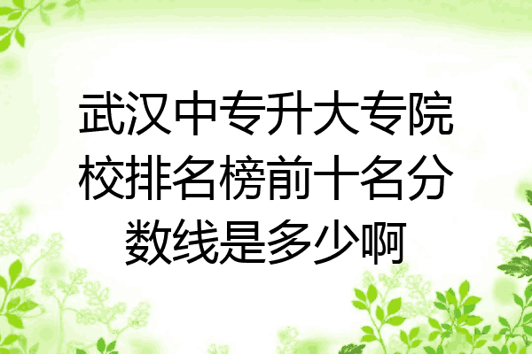 武汉中专升大专院校排名榜前十名分数线是多少啊