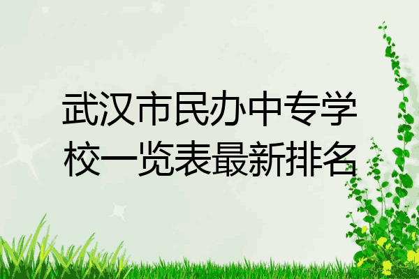 武汉市民办中专学校一览表最新排名