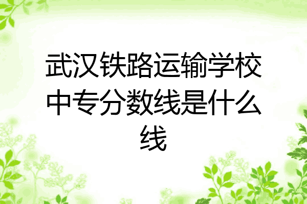 武汉铁路运输学校中专分数线是什么线