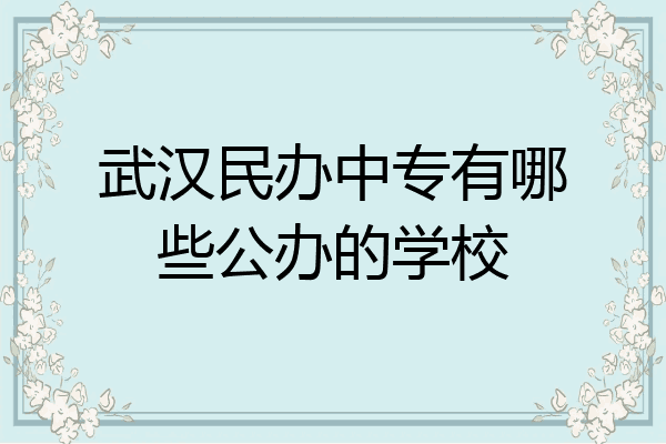 武汉民办中专有哪些公办的学校