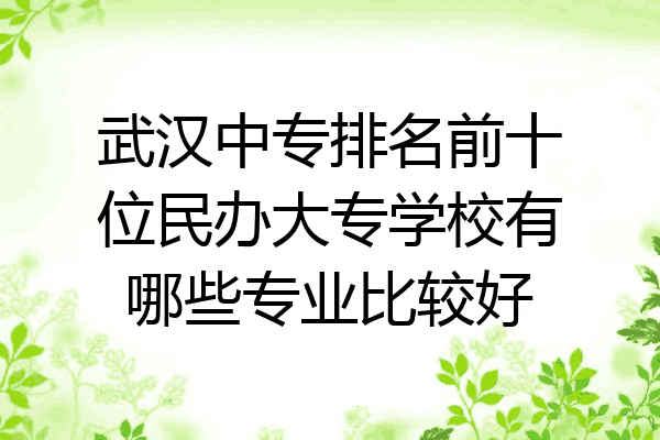 武汉中专排名前十位民办大专学校有哪些专业比较好