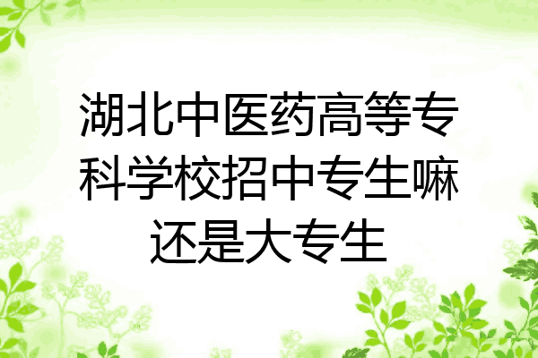 湖北中医药高等专科学校招中专生嘛还是大专生
