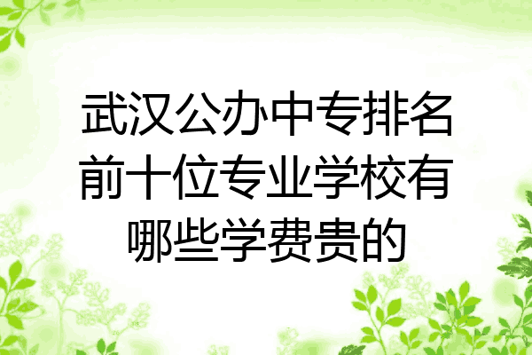 武汉公办中专排名前十位专业学校有哪些学费贵的