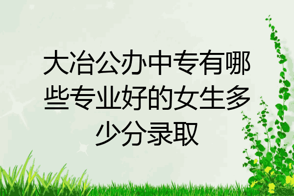 大冶公办中专有哪些专业好的女生多少分录取