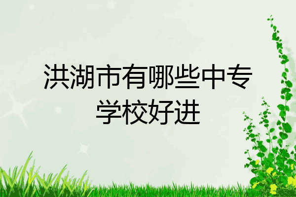 洪湖市有哪些中专学校好进