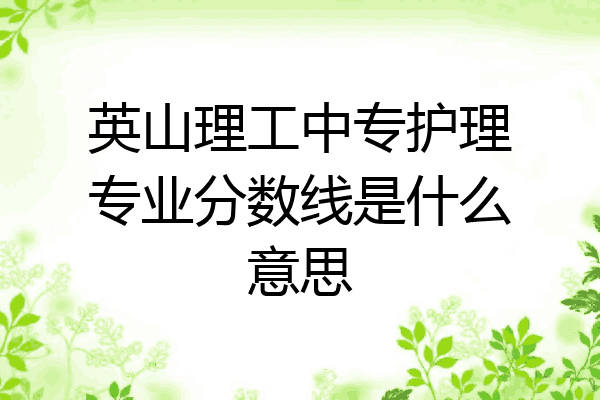 英山理工中专护理专业分数线是什么意思