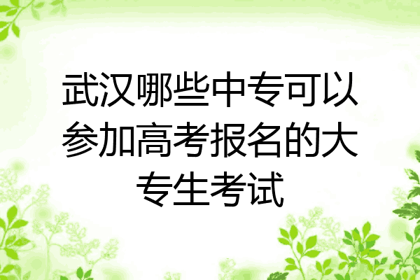 武汉哪些中专可以参加高考报名的大专生考试