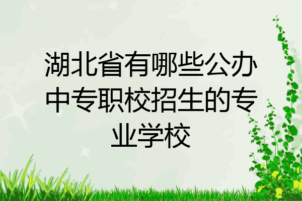 湖北省有哪些公办中专职校招生的专业学校