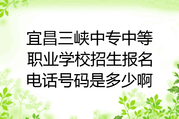 宜昌三峡中专中等职业学校招生报名电话号码是多少啊