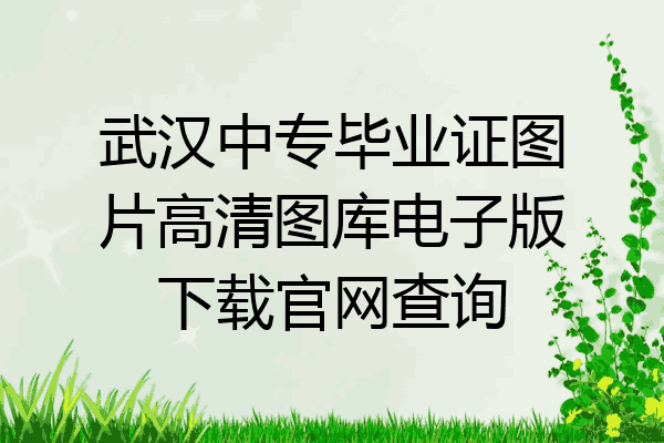 武汉中专毕业证图片高清图库电子版下载官网查询