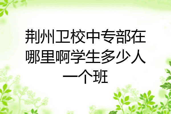 荆州卫校中专部在哪里啊学生多少人一个班