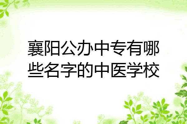 襄阳公办中专有哪些名字的中医学校