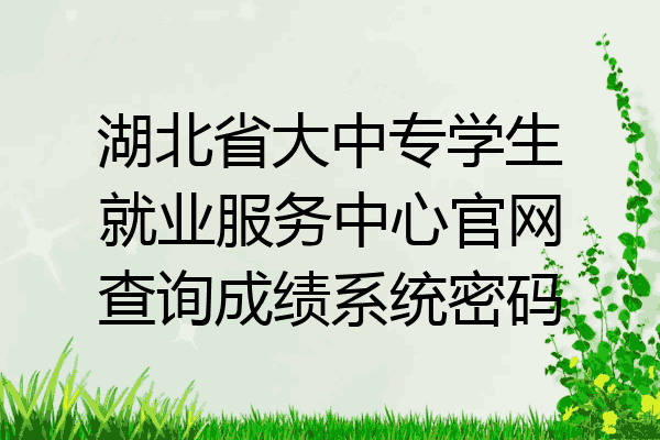 湖北省大中专学生就业服务中心官网查询成绩系统密码