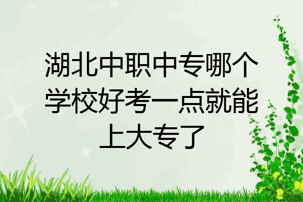 湖北中职中专哪个学校好考一点就能上大专了