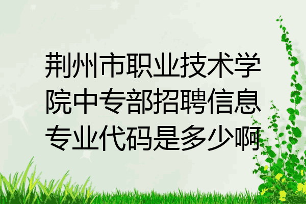 荆州市职业技术学院中专部招聘信息专业代码是多少啊