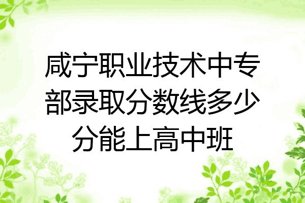 咸宁职业技术中专部录取分数线多少分能上高中班