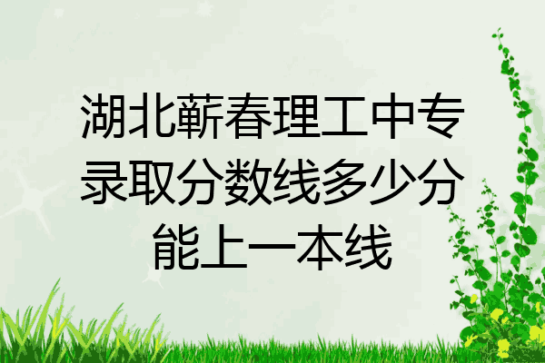 湖北蕲春理工中专录取分数线多少分能上一本线