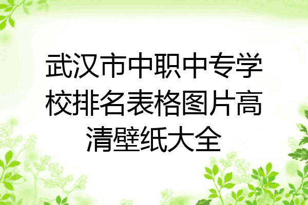 武汉市中职中专学校排名表格图片高清壁纸大全