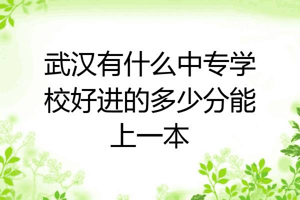 武汉有什么中专学校好进的多少分能上一本