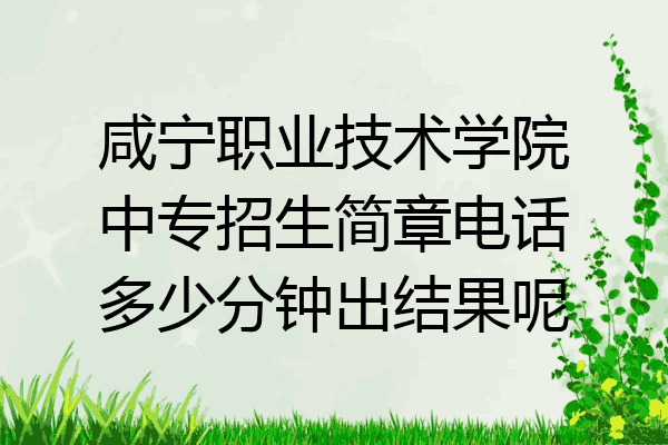 咸宁职业技术学院中专招生简章电话多少分钟出结果呢