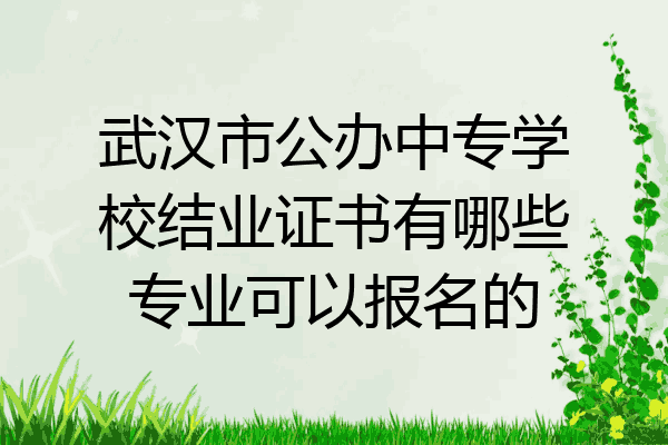 武汉市公办中专学校结业证书有哪些专业可以报名的