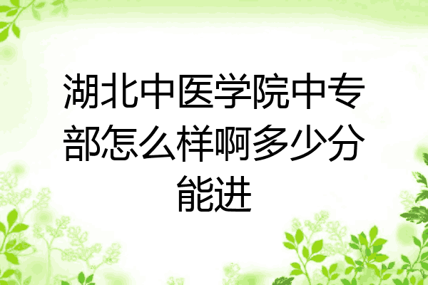 湖北中医学院中专部怎么样啊多少分能进