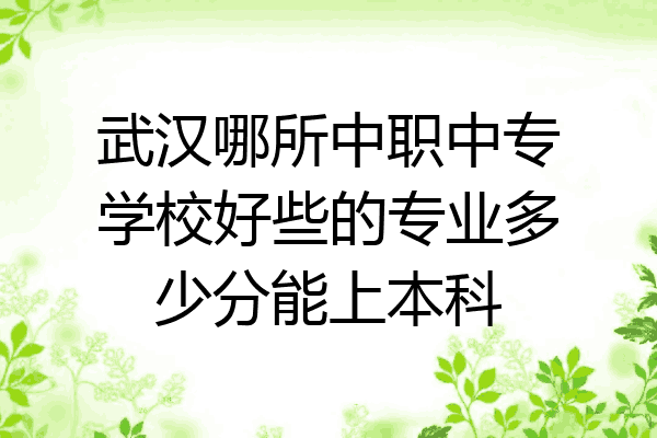 武汉哪所中职中专学校好些的专业多少分能上本科