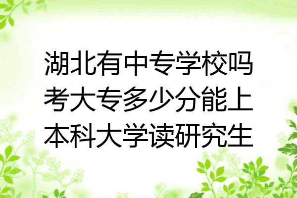 湖北有中专学校吗考大专多少分能上本科大学读研究生