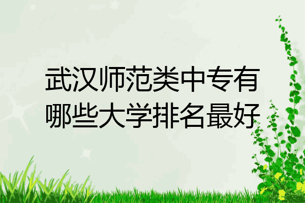 武汉师范类中专有哪些大学排名最好