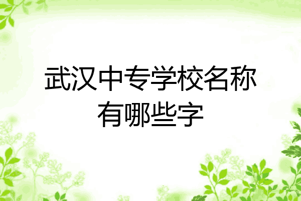 武汉中专学校名称有哪些字