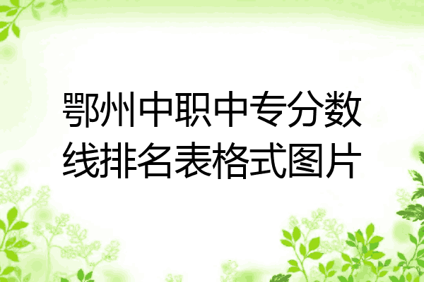 鄂州中职中专分数线排名表格式图片
