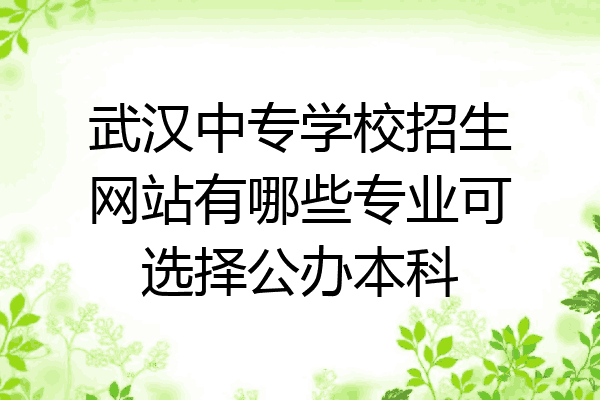 武汉中专学校招生网站有哪些专业可选择公办本科