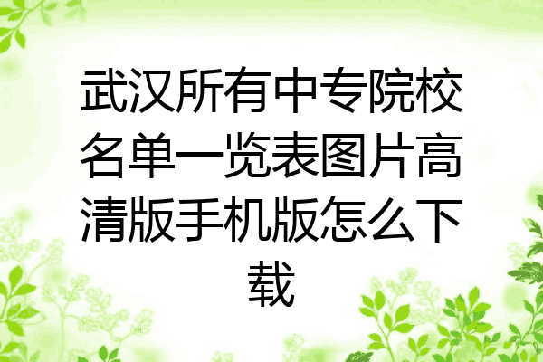 武汉所有中专院校名单一览表图片高清版手机版怎么下载