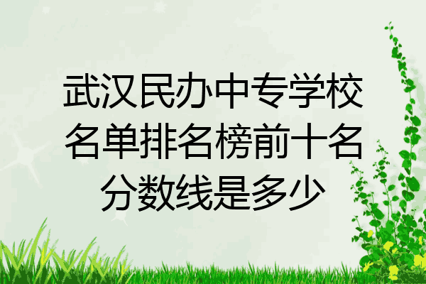 武汉民办中专学校名单排名榜前十名分数线是多少