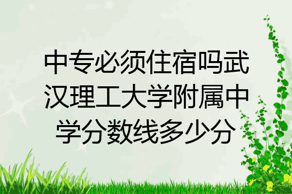中专必须住宿吗武汉理工大学附属中学分数线多少分