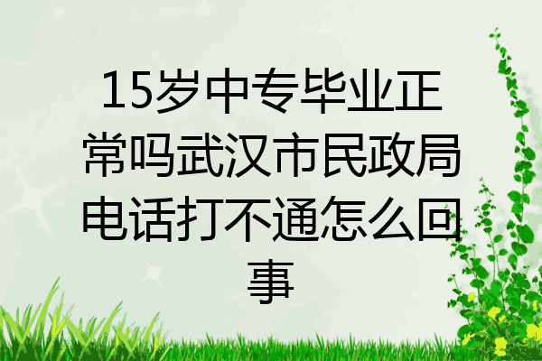 15岁中专毕业正常吗武汉市民政局电话打不通怎么回事