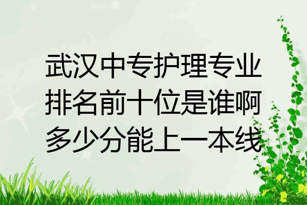 武汉中专护理专业排名前十位是谁啊多少分能上一本线