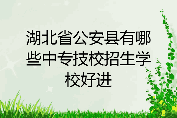 湖北省公安县有哪些中专技校招生学校好进