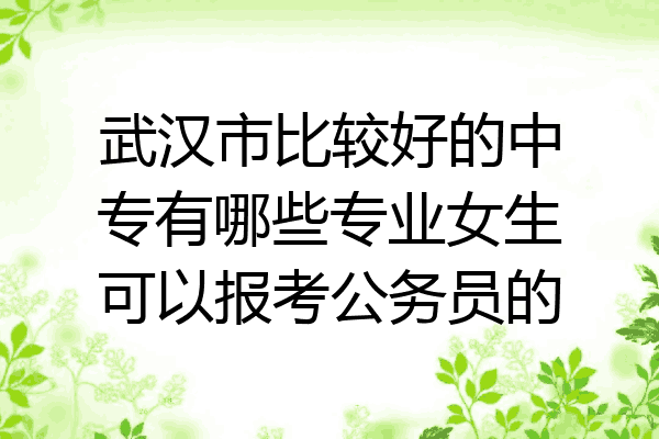 武汉市比较好的中专有哪些专业女生可以报考公务员的