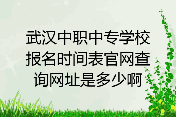 武汉中职中专学校报名时间表官网查询网址是多少啊