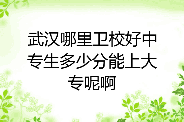 武汉哪里卫校好中专生多少分能上大专呢啊