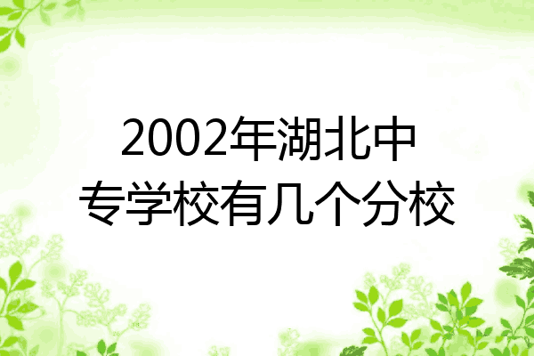 2002年湖北中专学校有几个分校