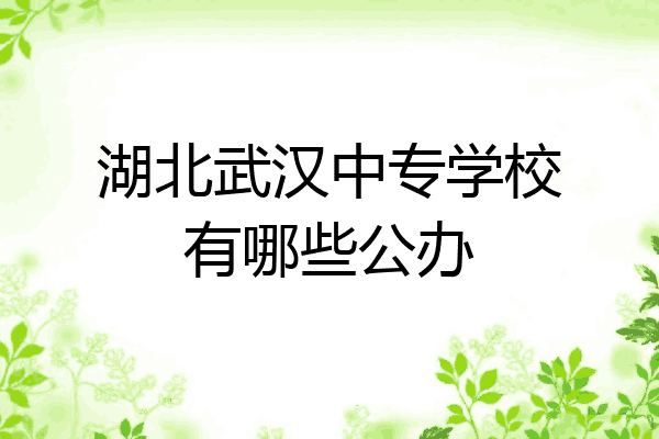 湖北武汉中专学校有哪些公办