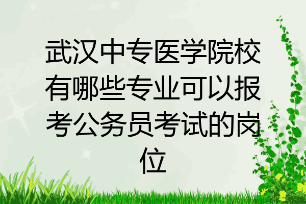 武汉中专医学院校有哪些专业可以报考公务员考试的岗位