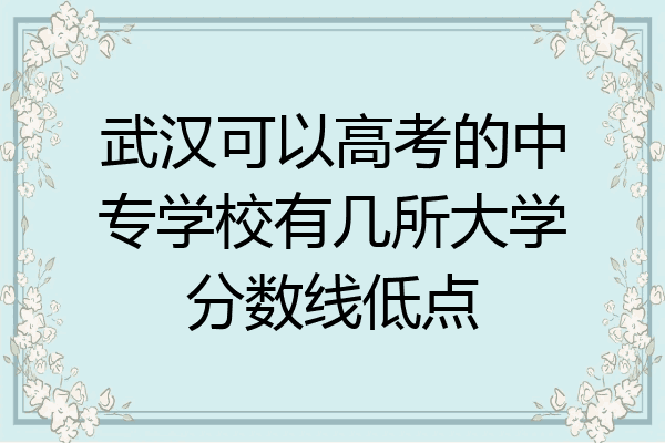 武汉可以高考的中专学校有几所大学分数线低点
