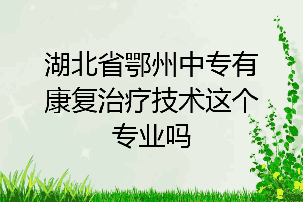 湖北省鄂州中专有康复治疗技术这个专业吗